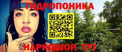 a pvp Сланцы