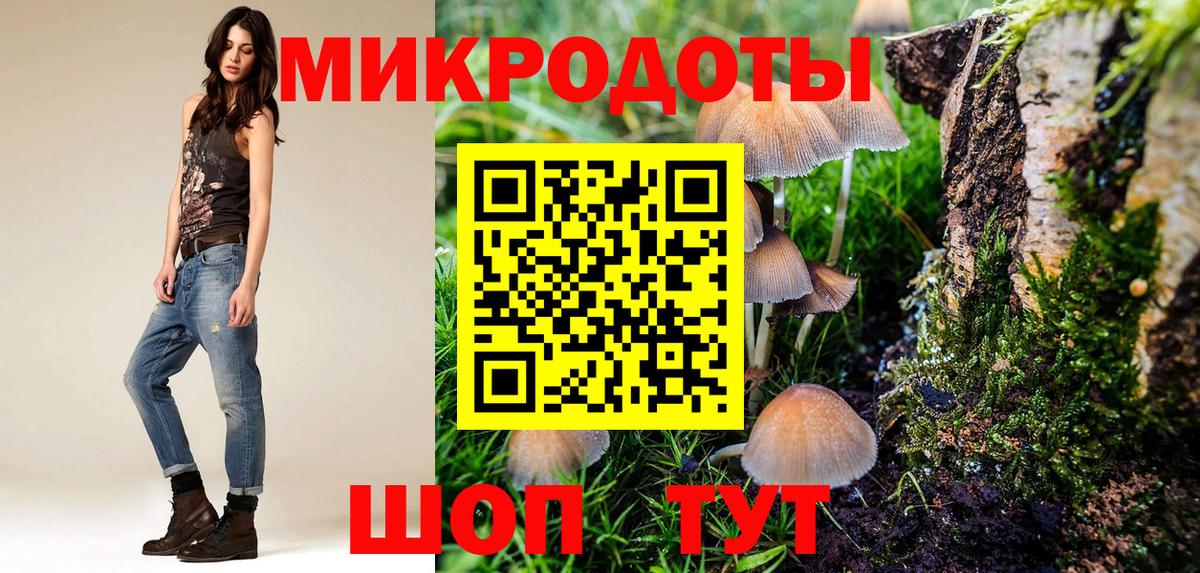 Галлюциногенные грибы Psilocybe Новотроицк