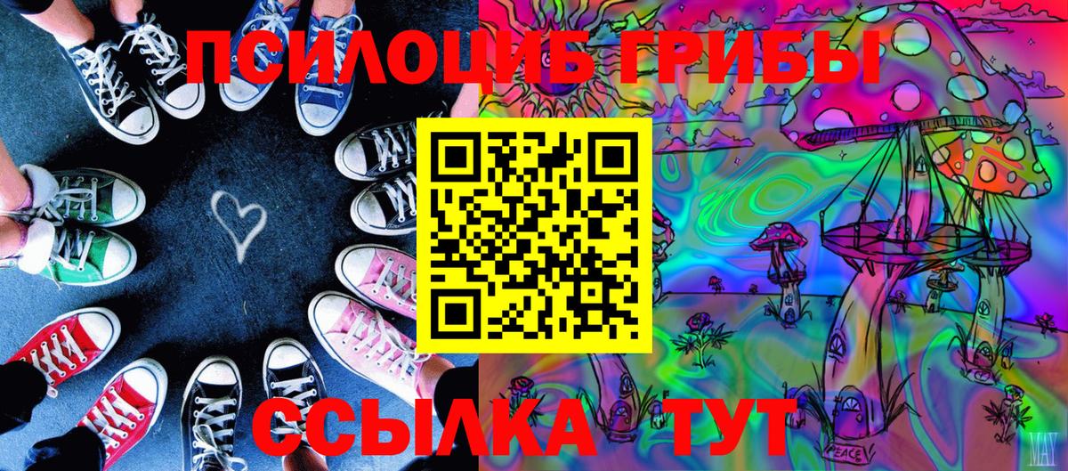 Псилоцибиновые грибы прущие грибы  Вход с VPN  Новотроицк  Псилоцибиновые грибы прущие грибы 